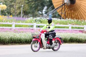 BIB: 
                            <button type="button" onclick="openModal(27860855)" class="btn btn-primary btn-sm float-right btn-popup" data-toggle="modal" data-target=".modal-high-quality">
                        <i class="fas fa-shopping-cart"></i> Add to Cart
                    </button>
                                            <button type="button" onclick="isThisMe(27860855, true)" class="btn btn-success btn-sm float-right btn-popup btn-isme hidden" data-toggle="tooltip" data-placement="bottom" title="นี่คือรูปของคุณใช่ไหม คลิกที่นี่เพื่อเอาเข้าอัลบั้ม">
                        <i class="fas fa-plus"></i> Add to album
                    </button>
                    <button type="button" onclick="isThisMe(27860855, false)" class="btn btn-warning btn-sm float-right btn-popup btn-isnotme hidden">
                        <i class="fas fa-ban"></i> Remove from album
                    </button>